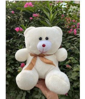Teddy Bear Soft Plush Toy