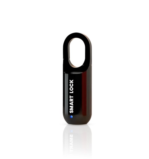 Travel Smart Padlock