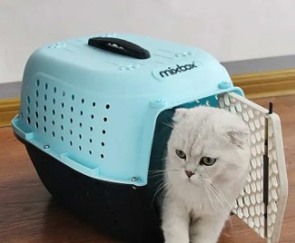 Fancy Jet Box / Traveling box for Cat & Puppy Random Color Delivered