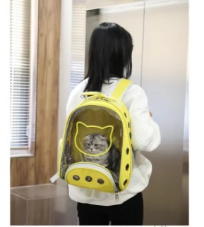 Beautiful Transparent Portable Cat Carrier Bag - Washable, Durable & Comfortable For your Cats